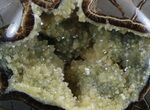 Calcite Crystal Filled Septarian Geode - Utah #37237-1